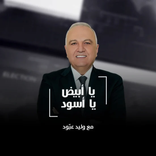 Website Walid Abboud